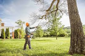 Best Aeration Services  in Jacksonville, TX